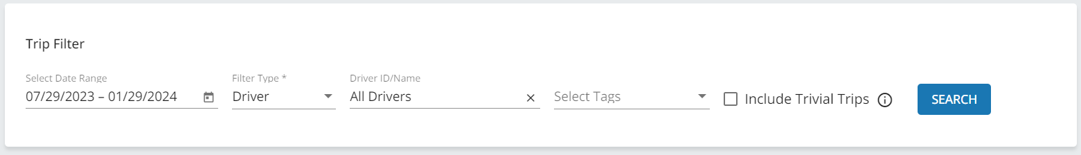 lightmetrics-trip-filter.png