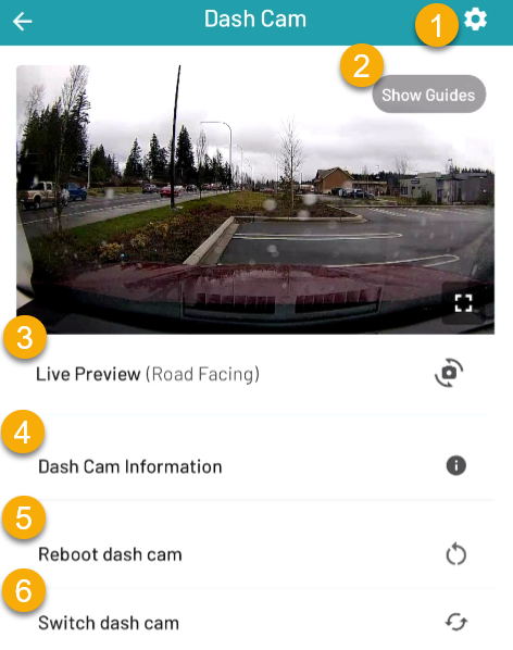 Cam Roadside 1.png