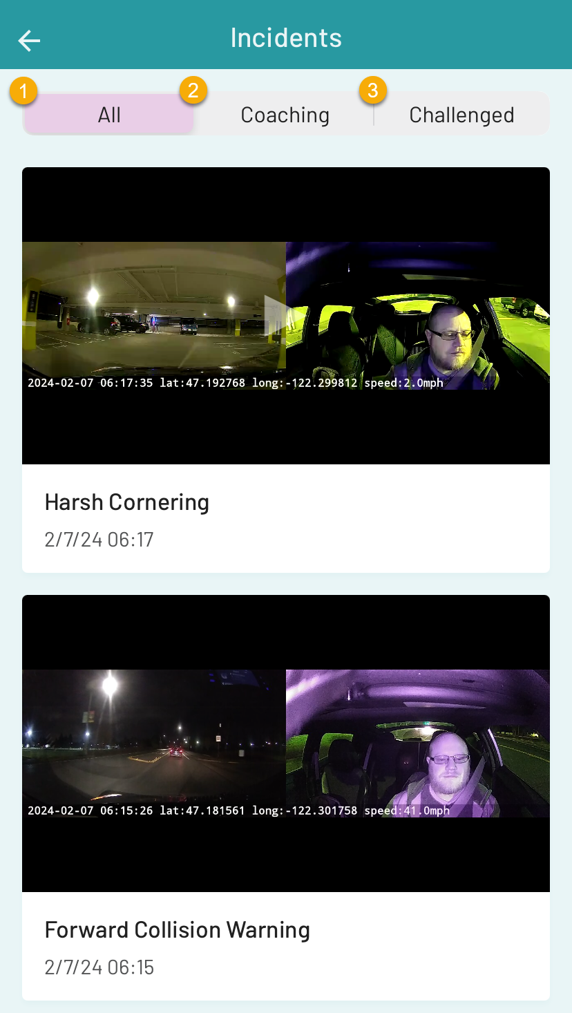 LMcompanionapp - Driver incidents.png