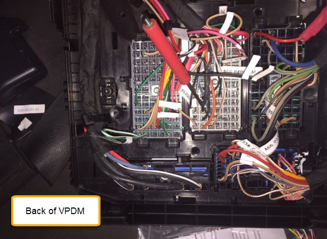 VPDM_Back.jpg