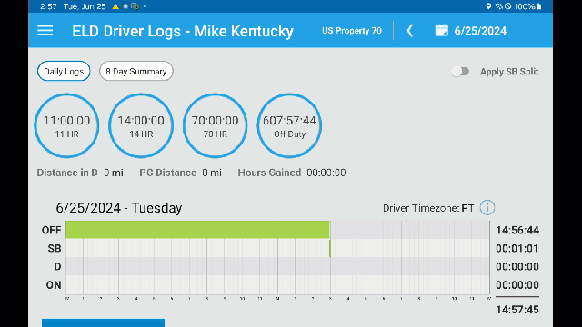 touch-clock-status.gif